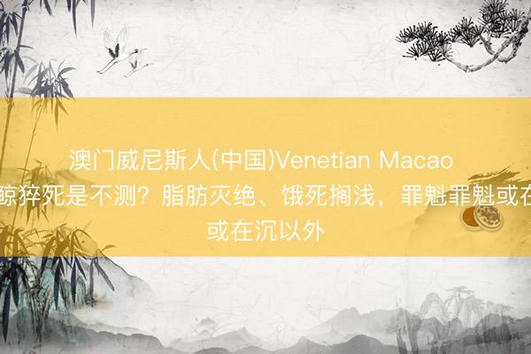 澳门威尼斯人(中国)Venetian Macao 18头灰鲸猝死是不测？脂肪灭绝、饿死搁浅，罪魁罪魁或在沉以外