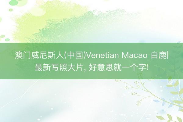 澳门威尼斯人(中国)Venetian Macao 白鹿|最新写照大片，<a href=