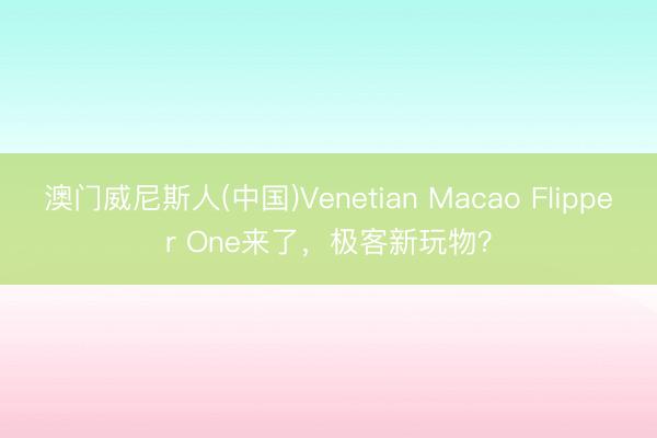 澳门威尼斯人(中国)Venetian Macao Flipper One来了，极客新玩物？