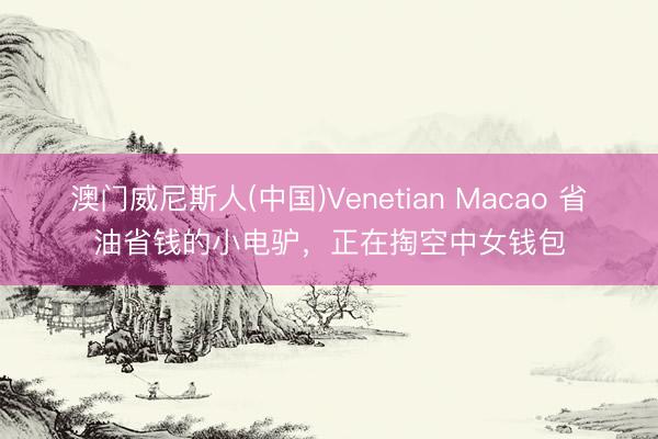 澳门威尼斯人(中国)Venetian Macao 省油省钱的小电驴，正在掏空中女钱包