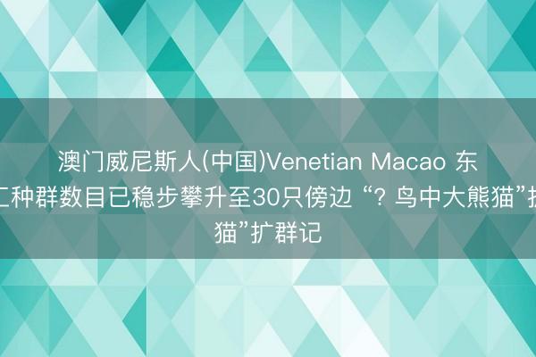 澳门威尼斯人(中国)Venetian Macao 东谈主工种群数目已稳步攀升至30只傍边 “? 鸟中大熊猫”扩群记