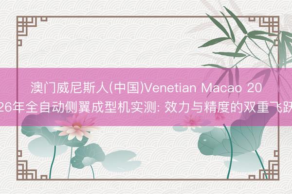 澳门威尼斯人(中国)Venetian Macao 2026年全自动侧翼成型机实测: 效力与精度的双重飞跃